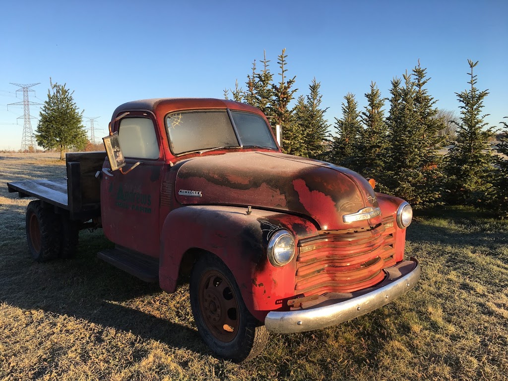 Andrews Tree Farm | 1865 Wilson St W, Jerseyville, ON L0R 1R0, Canada | Phone: (905) 648-0208