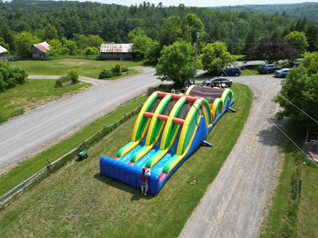 BF Bouncy Castles | 61 Riverside Dr, Harcourt, ON K0L 1L0, Canada | Phone: (613) 438-0347