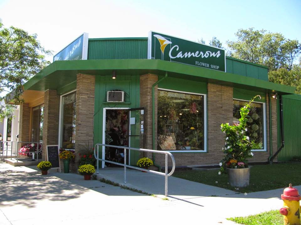 Camerons Flower Shop | 683 Belmont Ave W, Kitchener, ON N2M 1N8, Canada | Phone: (519) 743-3684
