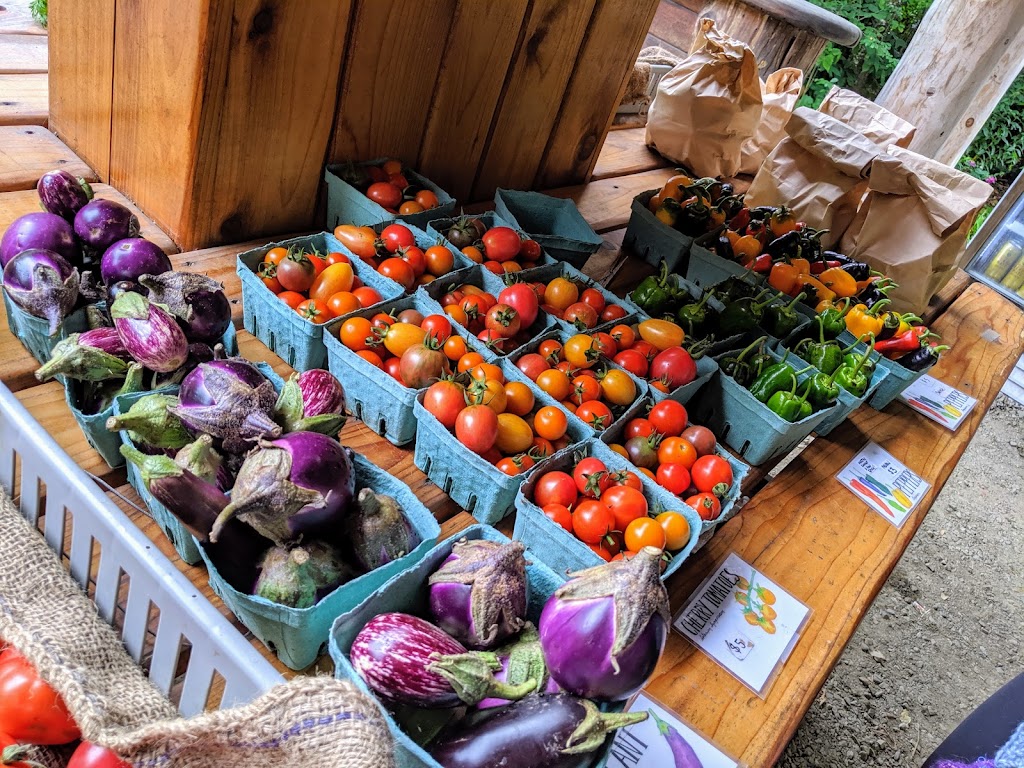 Stowel Lake Farm | 190 Reynolds Rd, Salt Spring Island, BC V8K 1Y3, Canada | Phone: (250) 653-4308