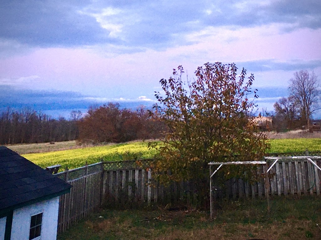 Our Family Guesthouse | 1033 Fish Lake Rd, Demorestville, ON K0K 1W0, Canada | Phone: (416) 930-0186