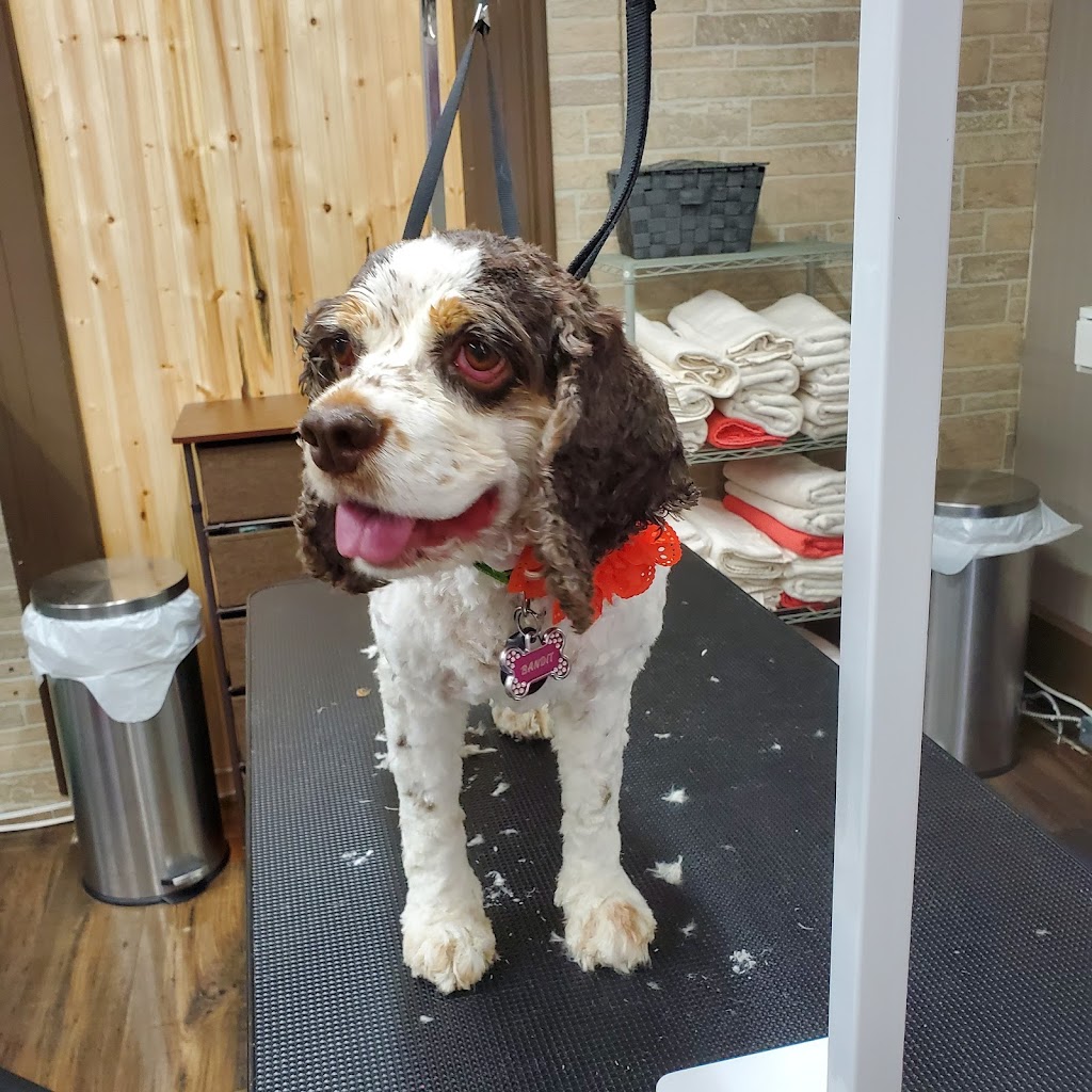 Fluff & Stuff Dog Grooming | 81 Talbot St E, Aylmer, ON N5H 1H3, Canada | Phone: (519) 639-6575