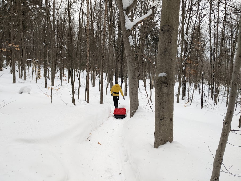 Ski De Fond Charlesbourg | 375 Rue de lAventure, Québec, QC G2M 1N3, Canada | Phone: (418) 849-9054