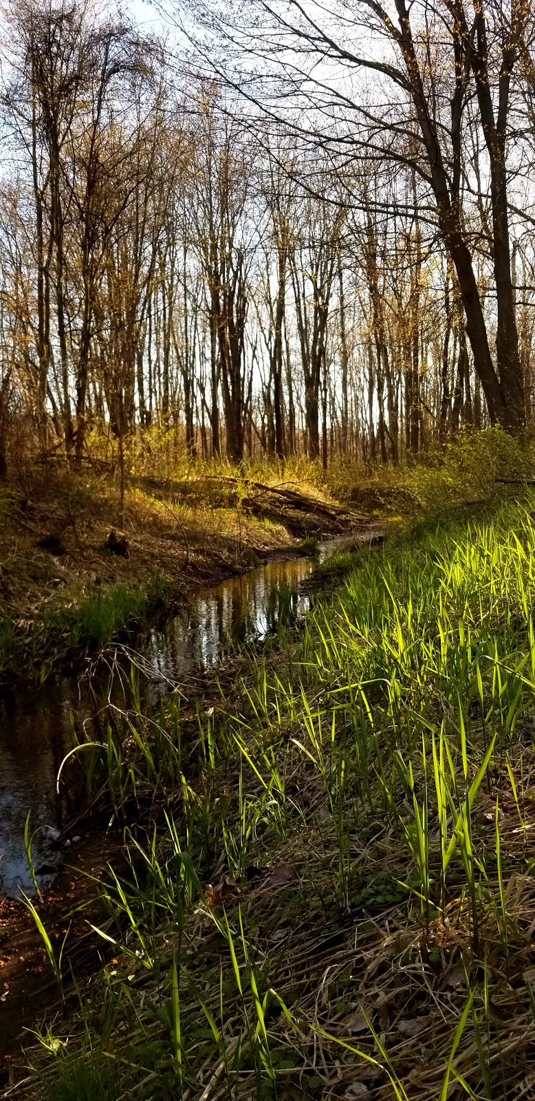 NCC Greenbelt P14 | W Hunt Club Rd, Ottawa, ON K2G 0C4, Canada