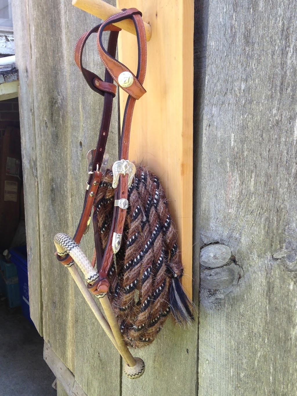 The Saddle Shack Custom Tack & Leatherwork | 271346, Grey Road 6, Mount Forest, ON N0G 2L0, Canada | Phone: (519) 323-0056