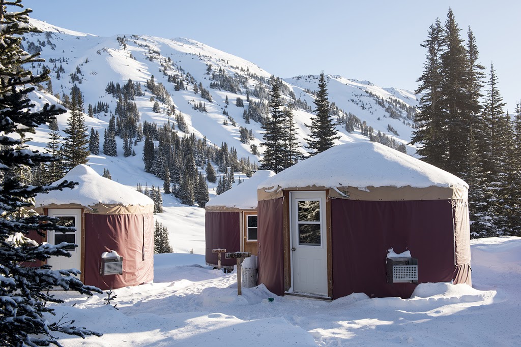 Whitecap Alpine | 1870 Airport Rd, Pemberton, BC V0N 2L3, Canada | Phone: (604) 907-7937