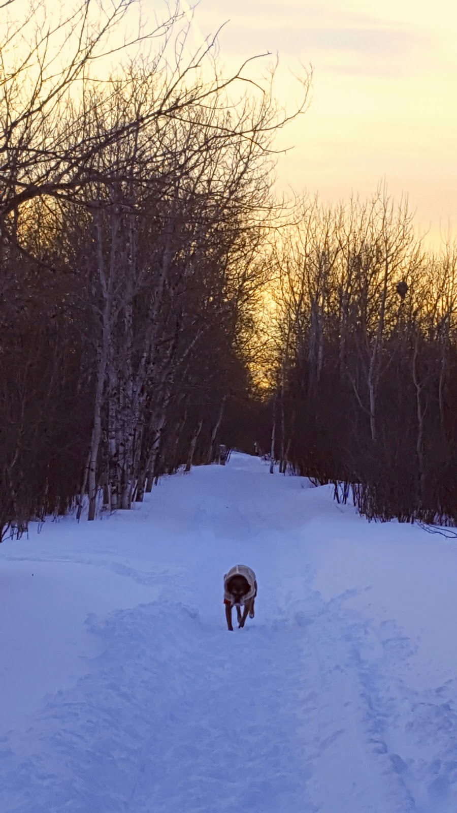 Marj Edey Park | Ridgewood South, Winnipeg, MB R3R, Canada