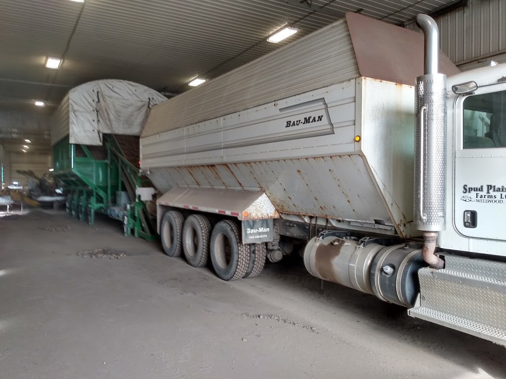 Spud Plains Farms LTD | Wellwood, MB R0K 2H0, Canada | Phone: (204) 834-3866