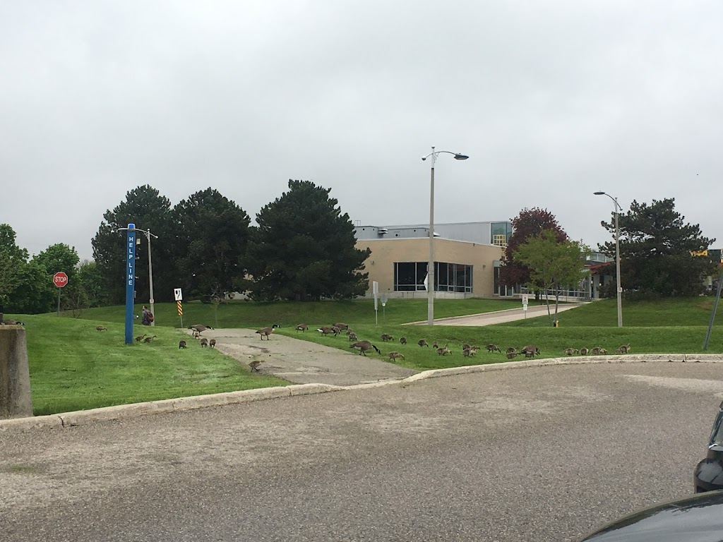 Parking Lot X | Optometry, Hagey Blvd, Waterloo, ON N2L 0A7, Canada | Phone: (519) 888-4567 ext. 33100