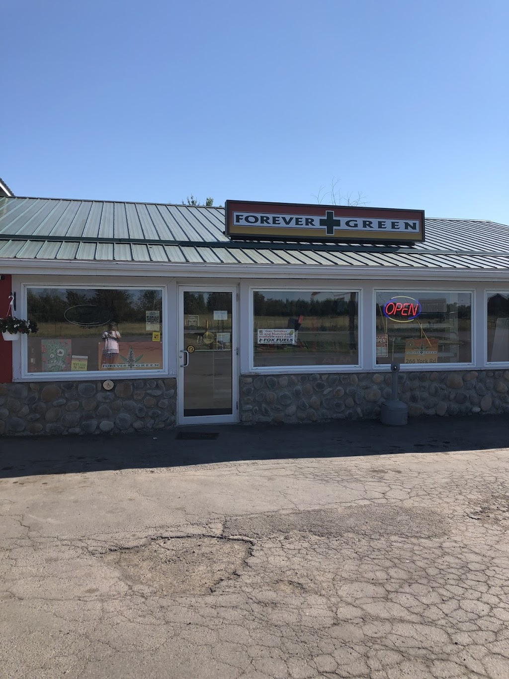 Forever Green | 266 York Rd, Shannonville, ON K0K 3A0, Canada | Phone: (613) 707-1870