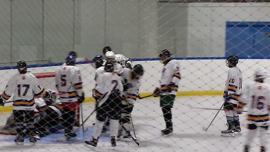 Stew Hendry / Henry Viney Arena | 814 13 Ave NE, Calgary, AB T2E 8A1, Canada | Phone: (403) 268-2489