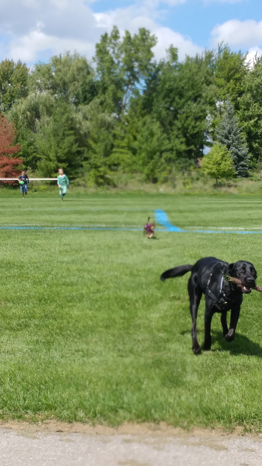 Southwest Optimist Park | 682 Southdale Rd, London, ON N6K 4L5, Canada
