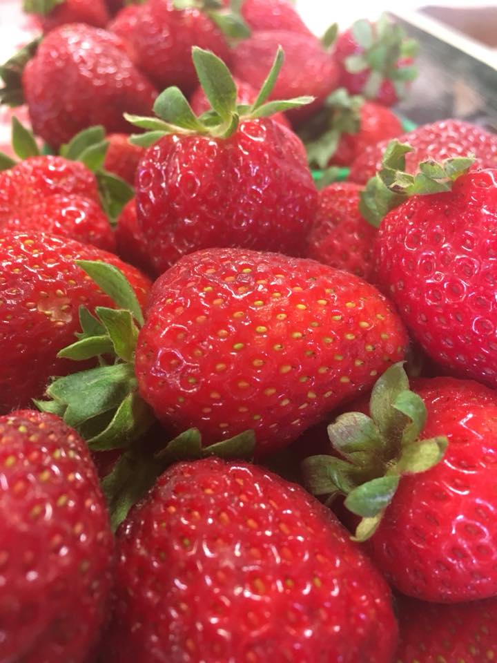 Wholesome Pickins Market and Bakery | 500 Church St E, Delhi, ON N4B 1V3, Canada | Phone: (519) 582-1114