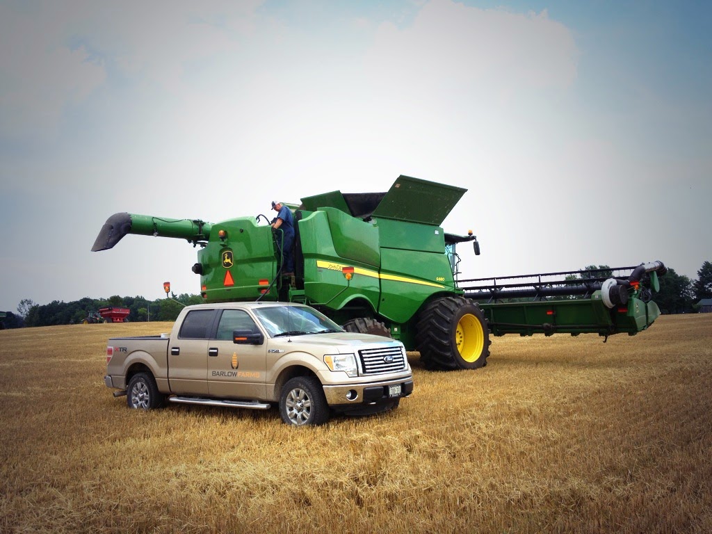 Barlow Farms | 210 Barlow Rd, York, ON N0A 1R0, Canada | Phone: (905) 692-3235