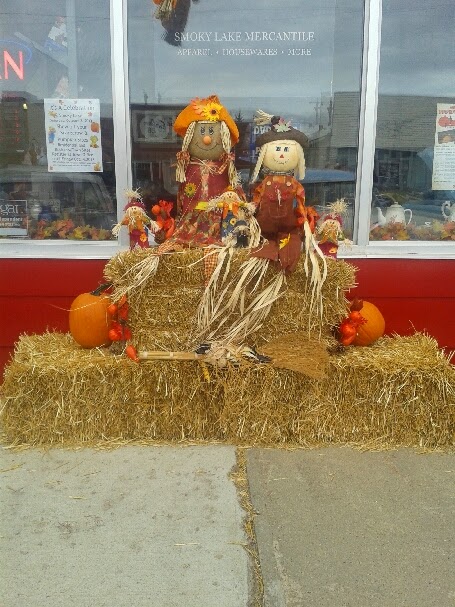 Smoky Lake Mercantile Thrift Shop | 65 Wheatland Ave, Smoky Lake, AB T0A 3C0, Canada | Phone: (780) 792-7178
