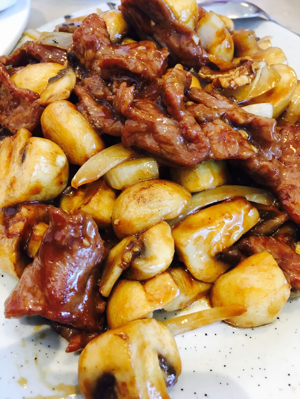 Pine Tree Garden Restaurant | 10 Bur Oak Ave, Markham, ON L6C 0A2, Canada | Phone: (905) 887-9922