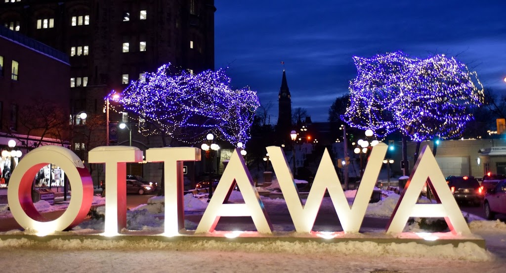 Christmas Decor Ottawa | 1038 Belfast Rd, Ottawa, ON K1B 3S3, Canada | Phone: (613) 317-2346