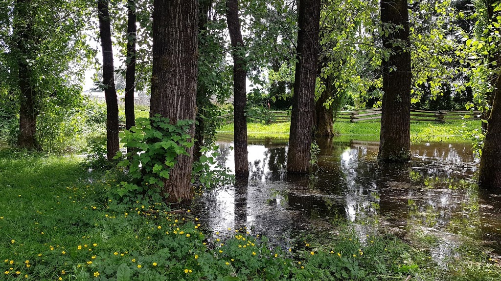 Langley municipal natural park | Langley Twp, BC V2Z 2W5, Canada