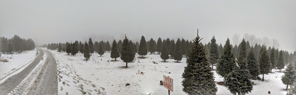 Wintersingers Christmas Tree Farm | 5837 3 Line, Hillsburgh, ON N0B 1Z0, Canada | Phone: (519) 855-6163