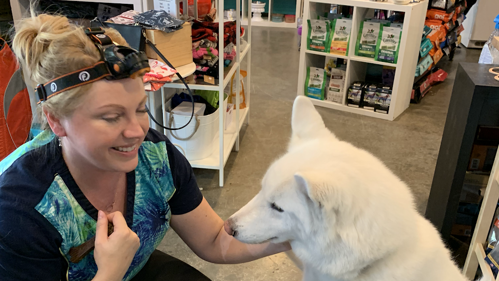 Dashing Dogs Dental | 45800 Promontory Rd #104, Chilliwack, BC V2R 5Z5, Canada | Phone: (604) 858-8511