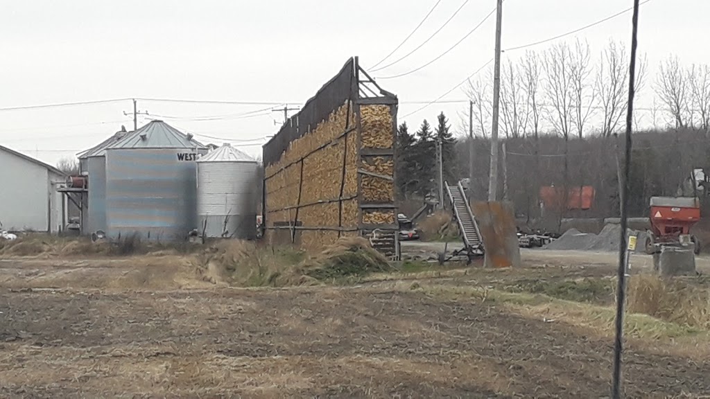 Ferme Cerpajo Enr | 158 Rang Charlotte, Saint-Liboire, QC J0H 1R0, Canada | Phone: (450) 793-2774