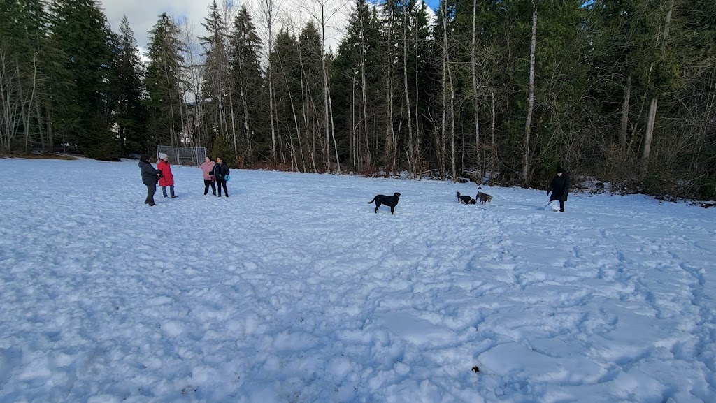 Chelsea Park Off-leash Dog Area | 1277 Chelsea Ave, Port Coquitlam, BC V3B 7J9, Canada | Phone: (604) 927-5496
