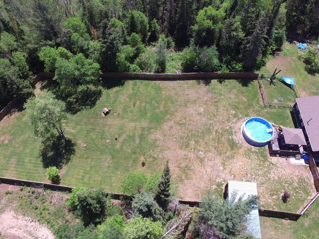 Muskoka Pet Lodge | 2198 Brunel Rd, Huntsville, ON P1H 2J3, Canada | Phone: (705) 787-0183