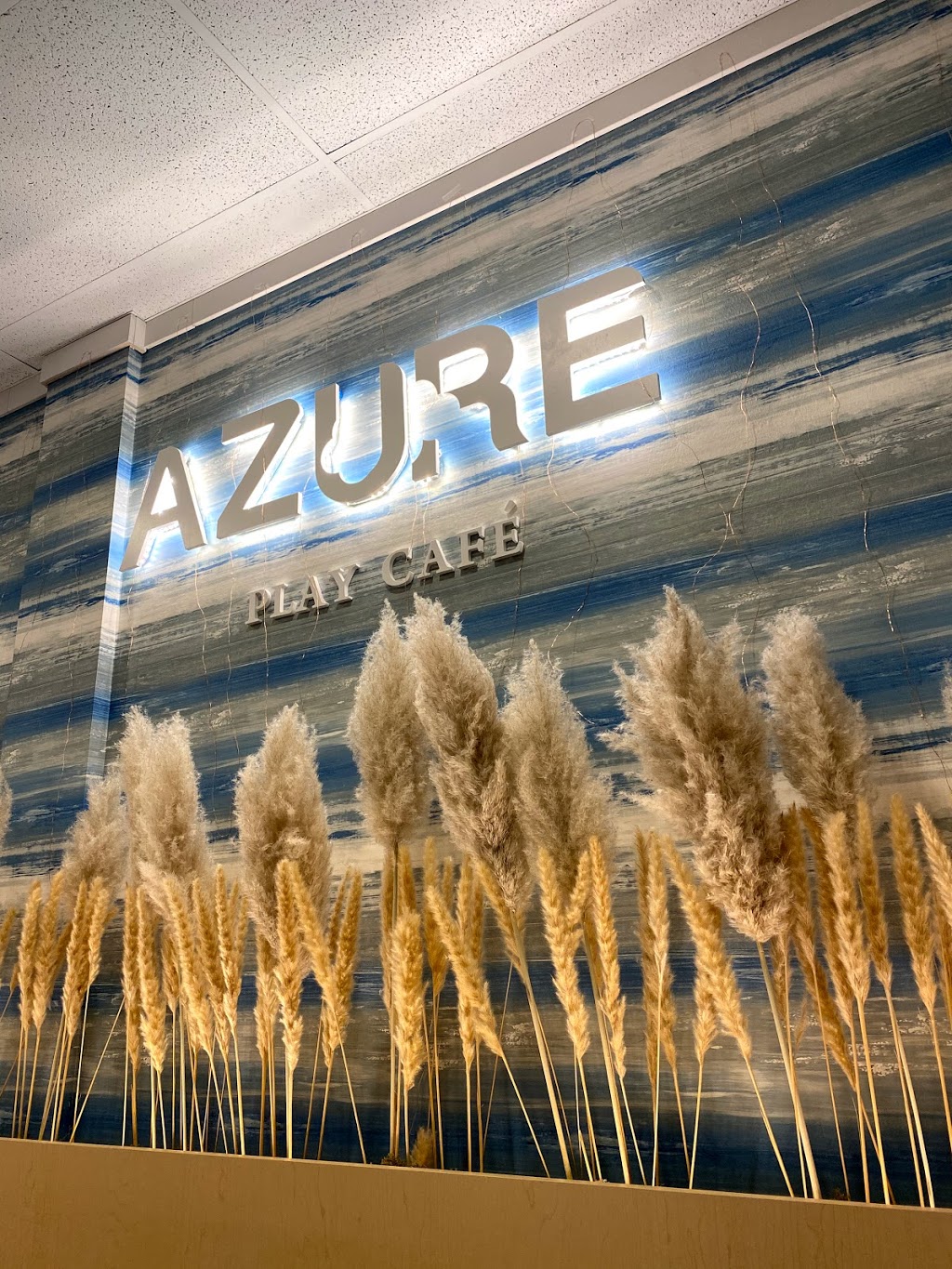 Azure play cafe | 9100 Blundell Rd #460, Richmond, BC V6Y 3X9, Canada | Phone: (604) 276-9966