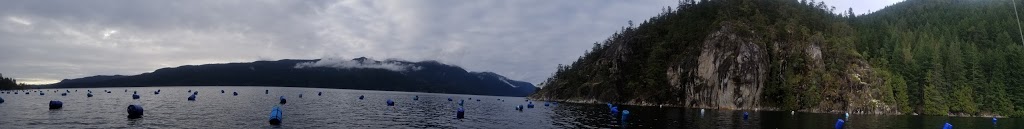 Oyster Farm | Sunshine Coast B, BC V0N 3A0, Canada | Phone: (778) 862-3698