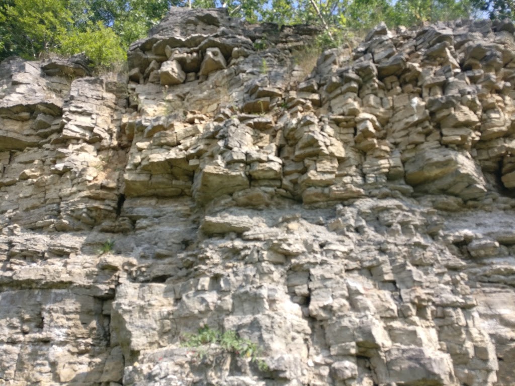 Clappison Woods | Hwy 6, Dundas, ON L9H 7B8, Canada | Phone: (905) 336-1158