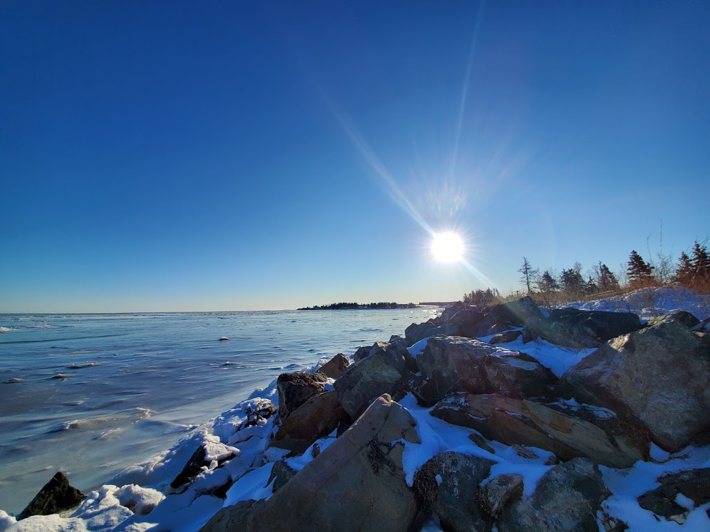 Psychotherapy and Music Therapy Services Ontario | Online and Telephone ONTARIO, Angus, ON L0M 1C0, Canada | Phone: (604) 818-5446