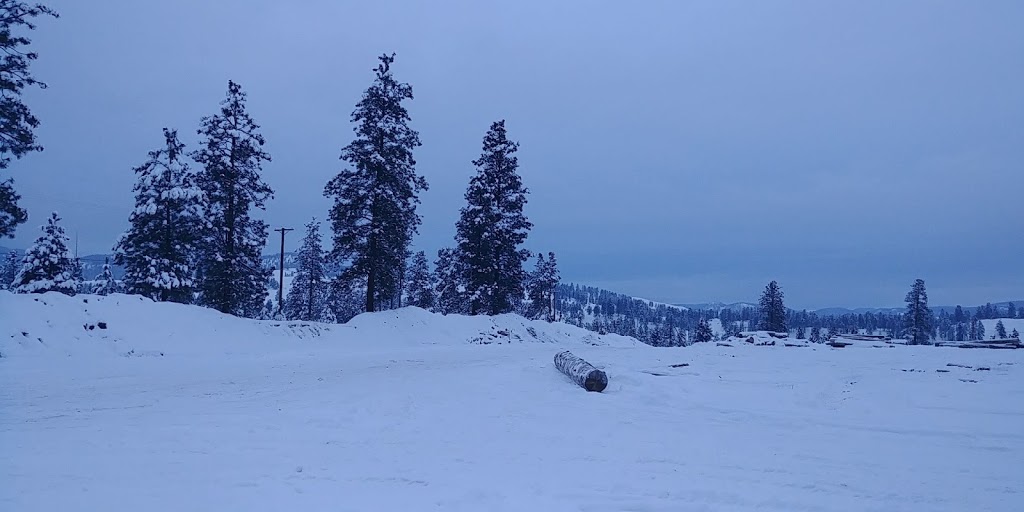 0850962 Sbc Firemaster Ltd | 275 Copper Mtn, Princeton, BC V0X 1W0, Canada | Phone: (250) 295-7685