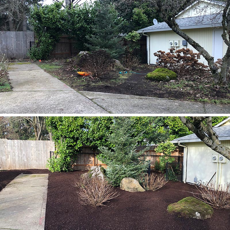 Yard cleaning. Огород до и после. Backyard Cleaning before after. Garden before and after. Пруд в Fire Lawn США.