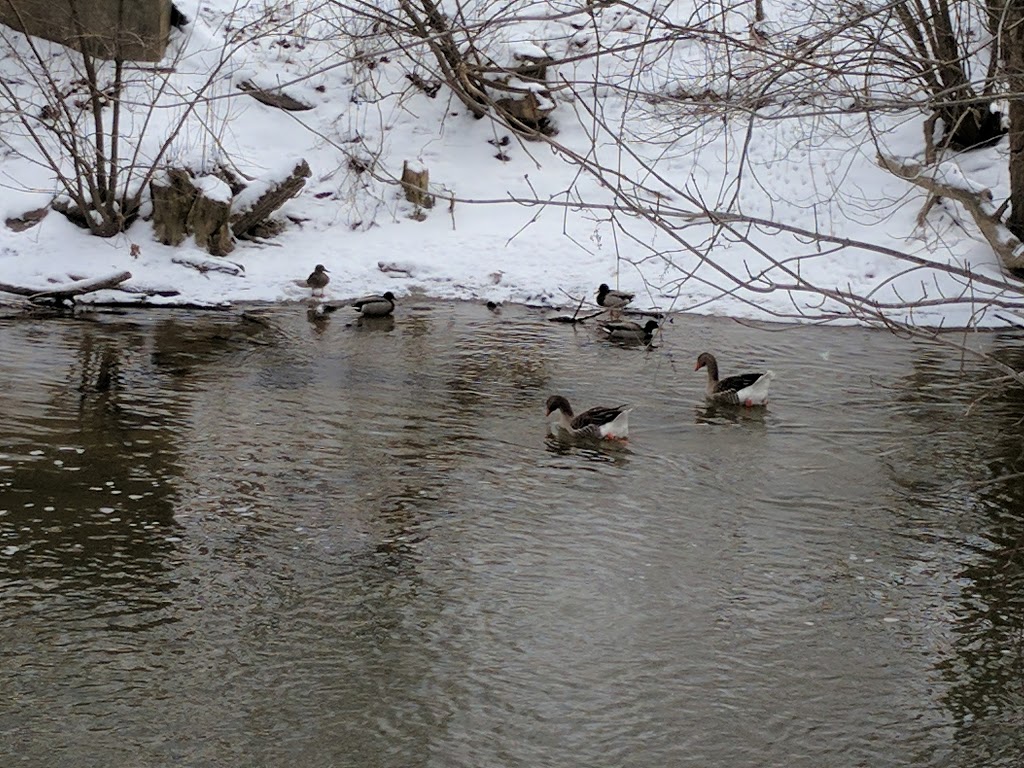 Coronation Park | 19 Van St, Tillsonburg, ON N4G 2M7, Canada