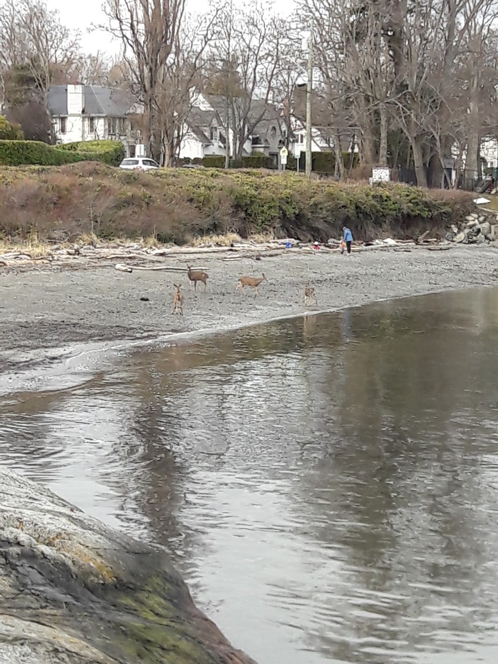 Haynes Park | Beach Dr, Victoria, BC V8R, Canada
