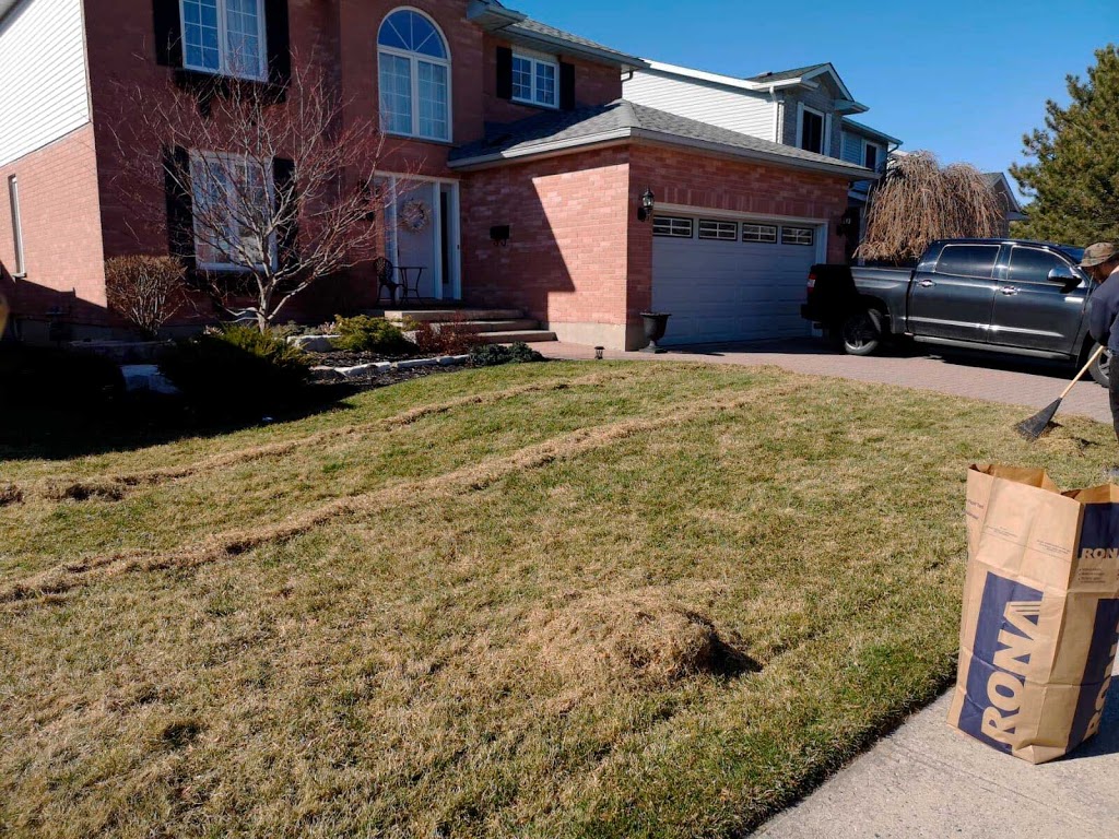 Home Service Solutions | 20 Grand Ave, Kitchener, ON N2K 1B3, Canada | Phone: (226) 799-2494