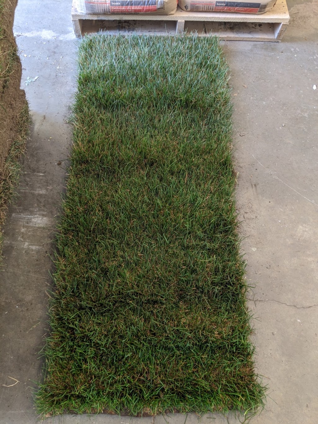 Forsythe Lawn Care | 43718 John Wise Line, St Thomas, ON N5P 3S9, Canada | Phone: (519) 520-6663