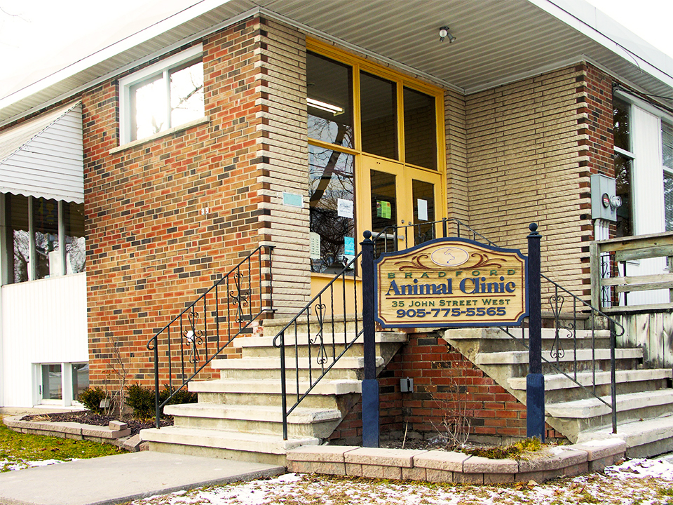 Bradford Animal Clinic | 35 John St W, Bradford, ON L3Z 2B4, Canada | Phone: (905) 775-5565