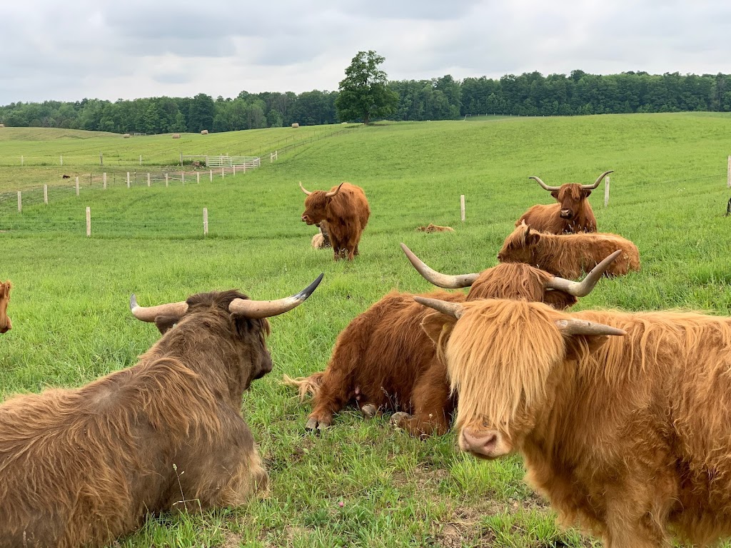 DNAs Farm | 45754 Fordwich Line, Clifford, ON N0G 1M0, Canada | Phone: (519) 573-5283