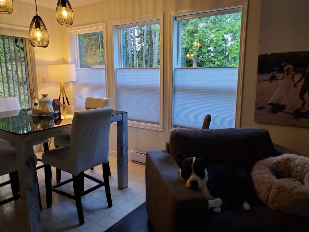 VistaShades Fraser Valley | 7509 Panorama Dr, Chilliwack, BC V4Z 1J7, Canada | Phone: (778) 933-1999