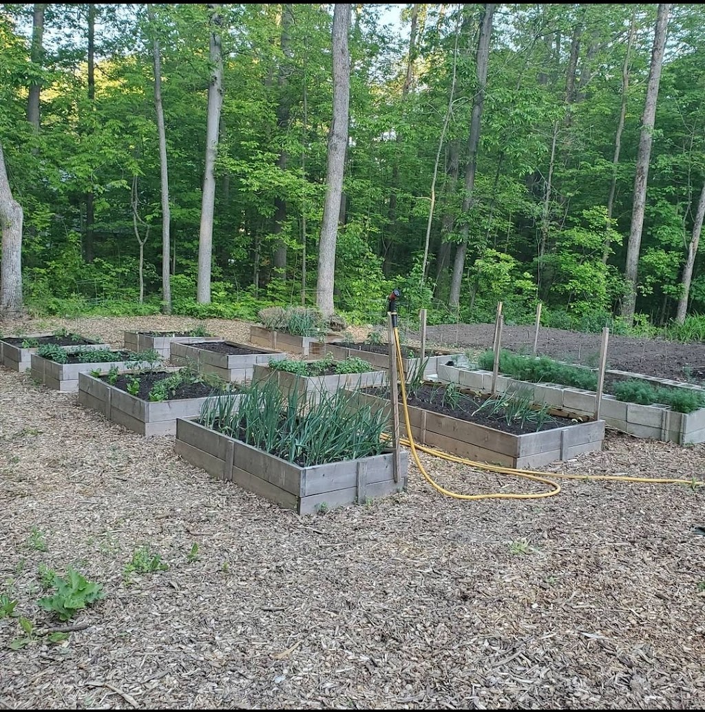 Bird Road Veggies | 180 Bird Rd, Quinte West, ON K0K 3E0, Canada | Phone: (613) 847-7065