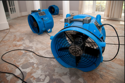 Terrific Carpet Cleaning | 4040 Blackfoot Trail SE #65a, Calgary, AB T2G 4E6, Canada | Phone: (587) 800-3667