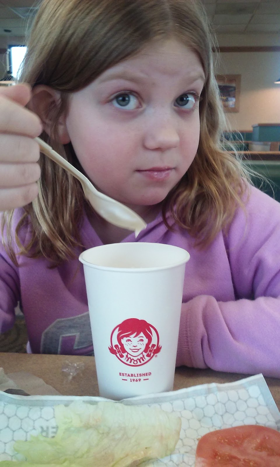 Wendys | 5737 S Transit Rd, Lockport, NY 14094, USA | Phone: (716) 434-6439