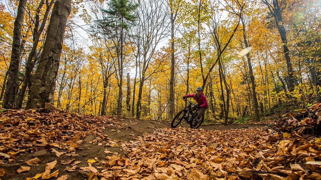 Sentiers du Moulin | 99 Chemin du Moulin, Lac-Beauport, QC G3B 0E1, Canada | Phone: (418) 849-9652