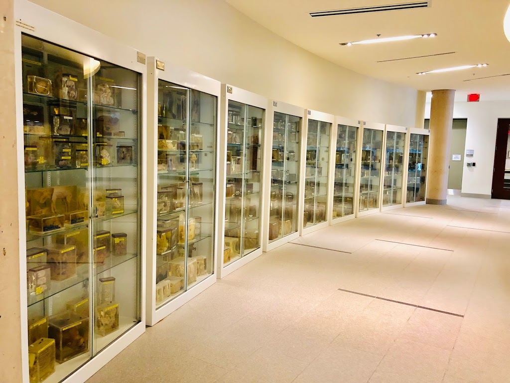 Ontario Veterinary College | Gordon St & College Ave W, Guelph, ON N1G 2W1, Canada | Phone: (519) 836-3510