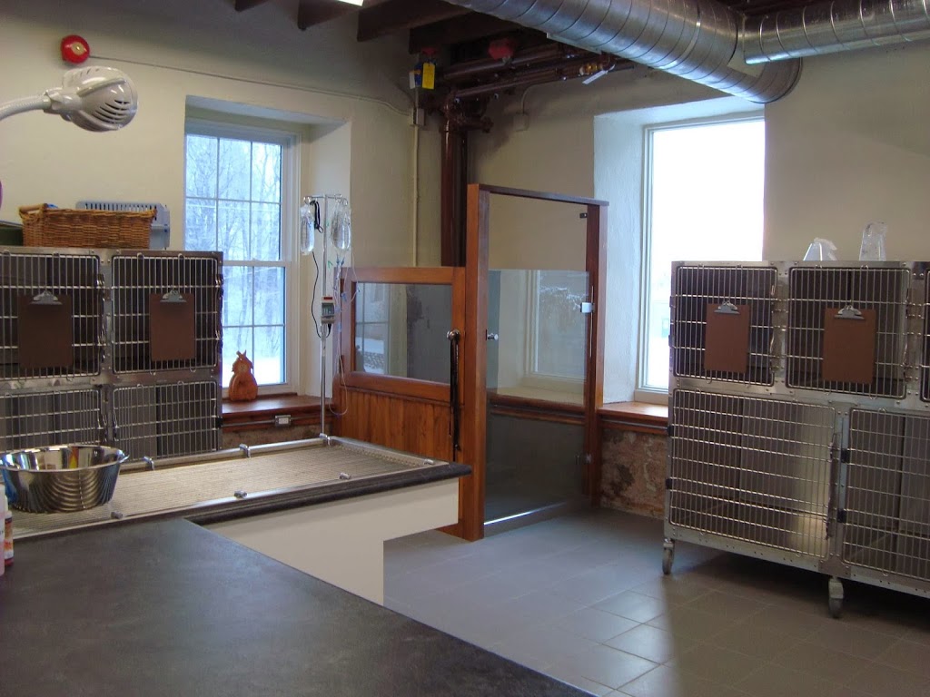 St George Mill Animal Hospital | 41 Main St S, Saint George, ON N0E 1N0, Canada | Phone: (519) 414-0075