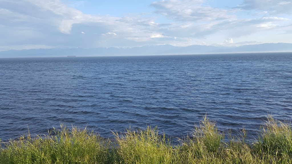 Spiral Beach | 1119 Dallas Rd, Victoria, BC V8V, Canada | Phone: (250) 361-0500