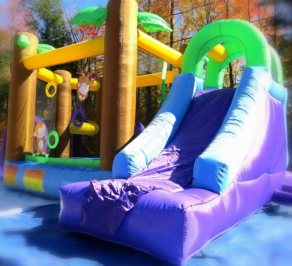 Location 3 ballons | 1831 Rue Dozois, Contrecoeur, QC J0L 1C0, Canada | Phone: (438) 828-0866