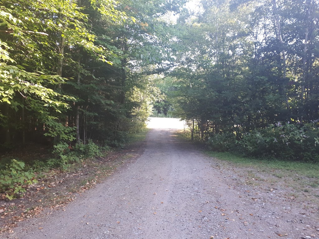 Reflection B&B | 12612 ON-118, Algonquin Highlands, ON K0M 1J1, Canada | Phone: (705) 457-2119