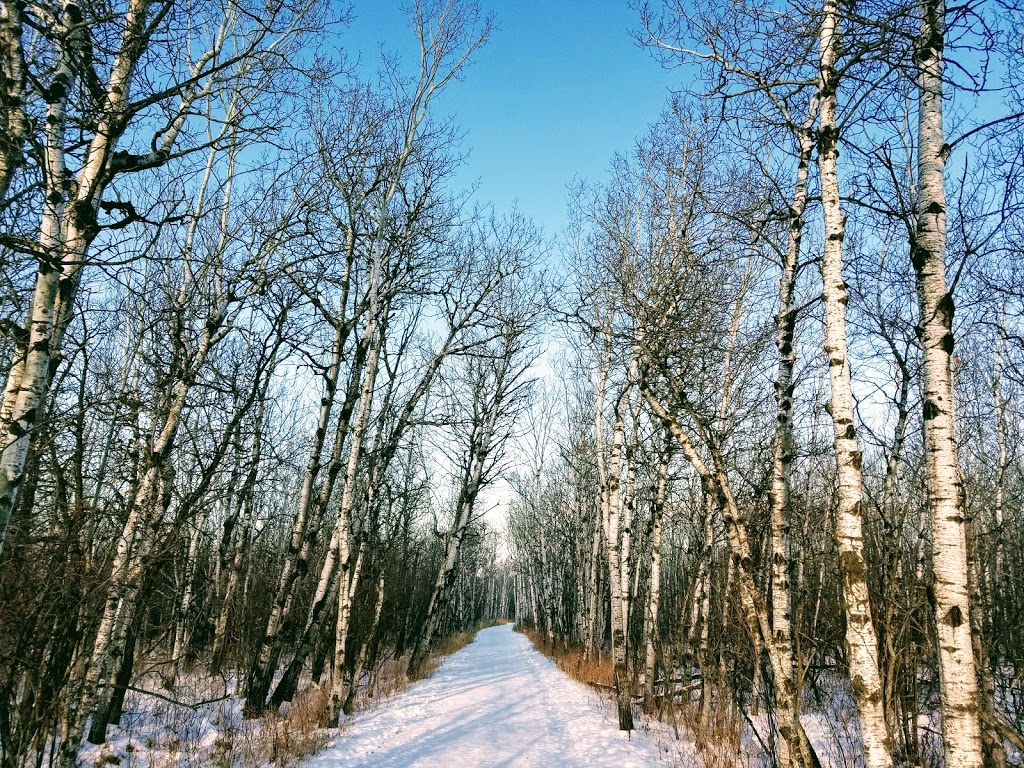 Assiniboine Forest | 55 Pavilion Crescent, Winnipeg, MB R3P 2N6, Canada | Phone: (204) 927-6000